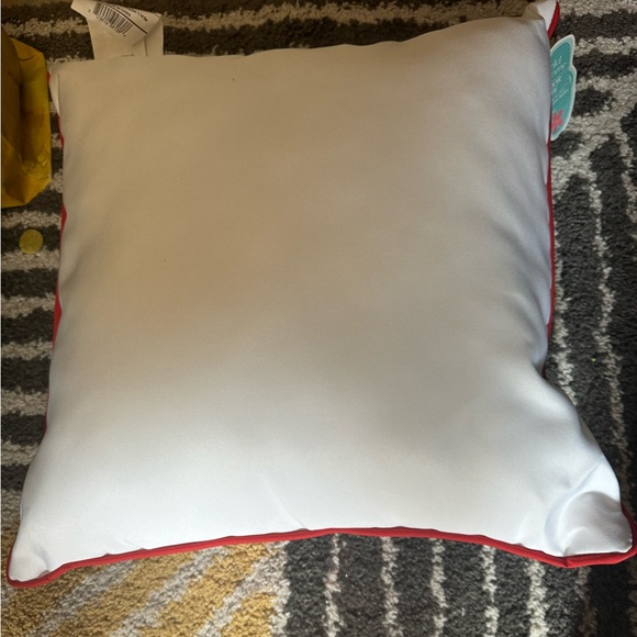 20 inch square outdoor watermelon pillow🍉 darling piping around edge-see photos - Picture 7 of 7